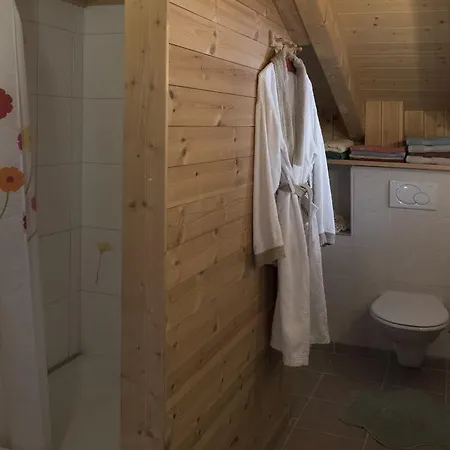 Guest house Bnb Les Choucas Villars-sur-Ollon